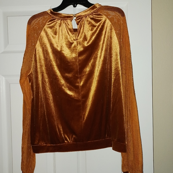 Velvet long sleeved lace sleeves.  The color is brick. - Picture 4 of 9